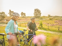 Durch die Natur - Fahrradwochen im Mai 